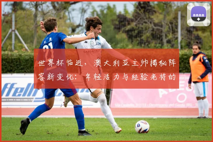 世界杯临近，澳大利亚主帅揭秘阵容新变化：年轻活力与经验老将的碰撞